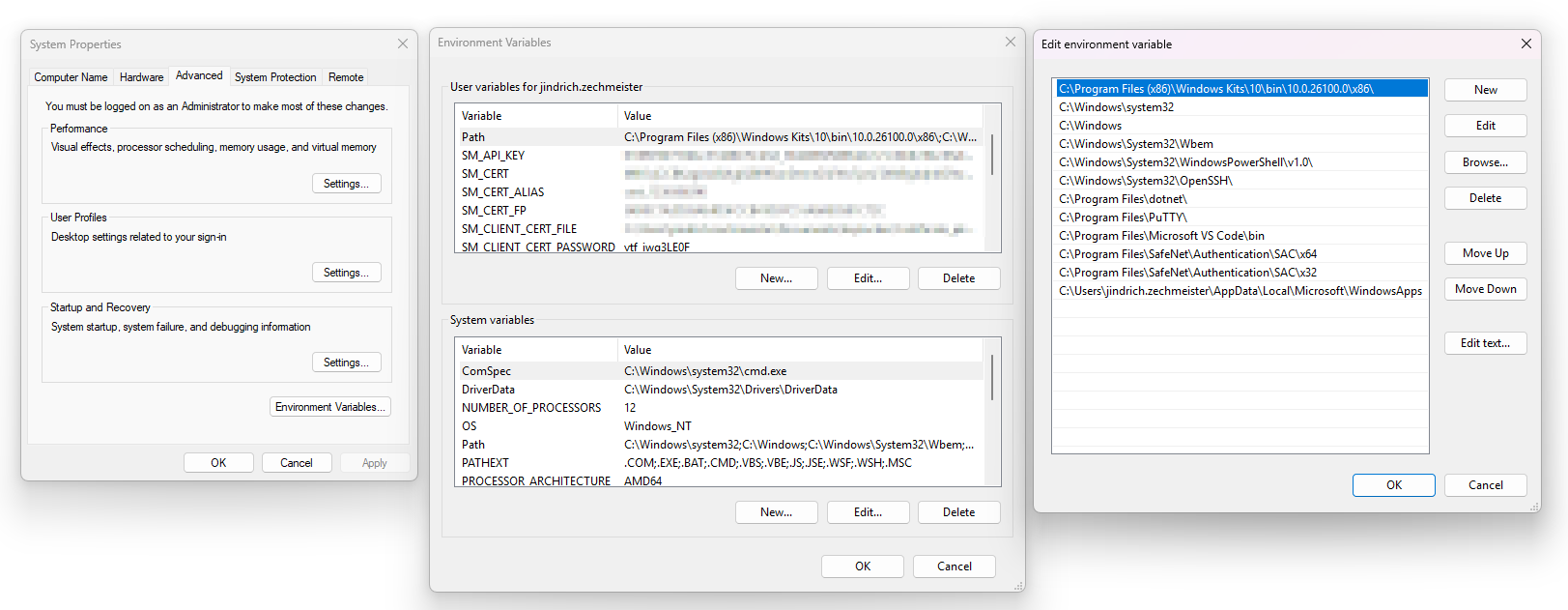 Agregar variables a través de la GUI de Windows